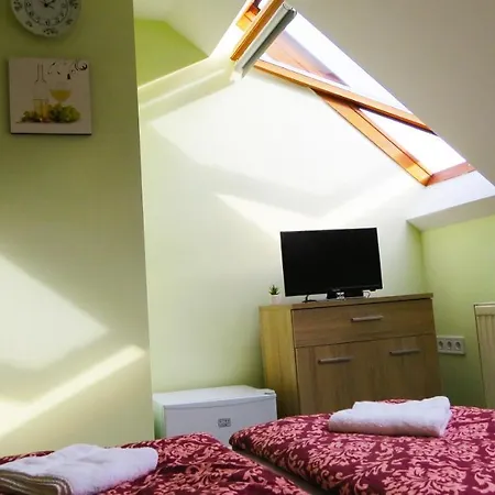 Hoforras Wellness Vendeghaz Guest house 3*
