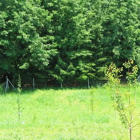 Hőforrás Wellness Vendégház 3*