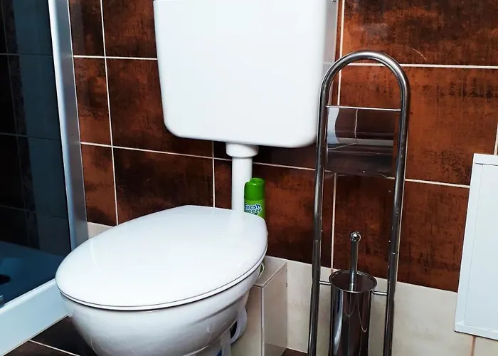 Hoforras Wellness Vendeghaz Pensiune 3*