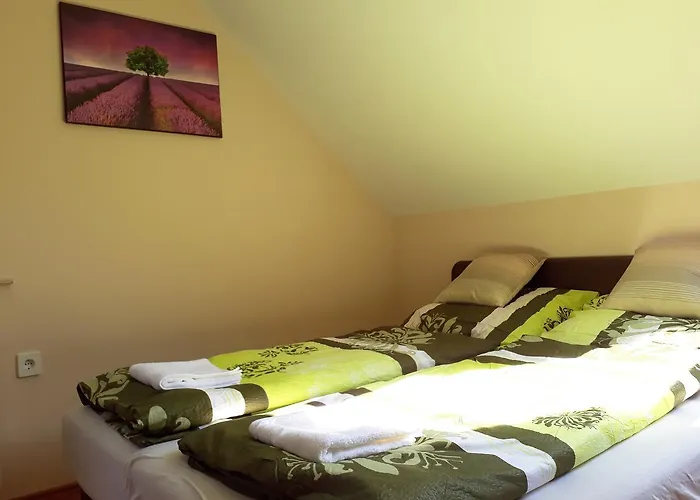 Hoforras Wellness Vendeghaz 3* Egerszalók