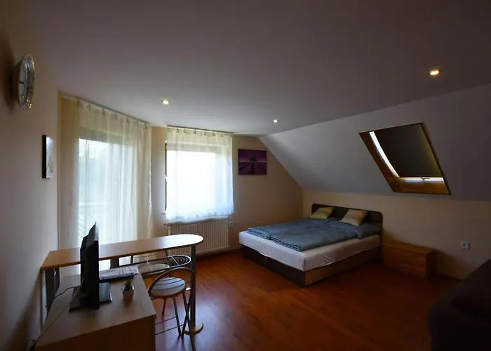 Hoforras Wellness Vendeghaz Gæstehus