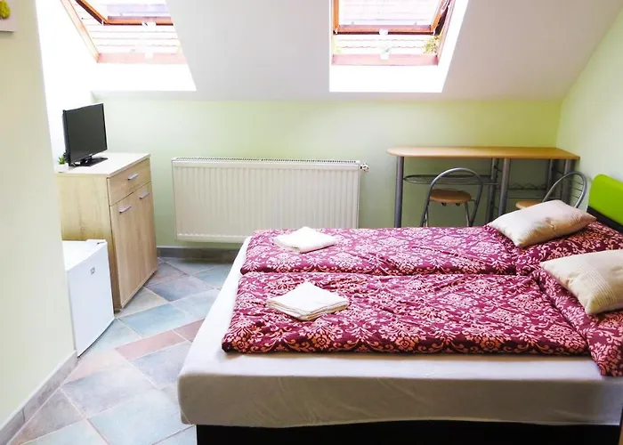 Gæstehus Hoforras Wellness Vendeghaz 3*