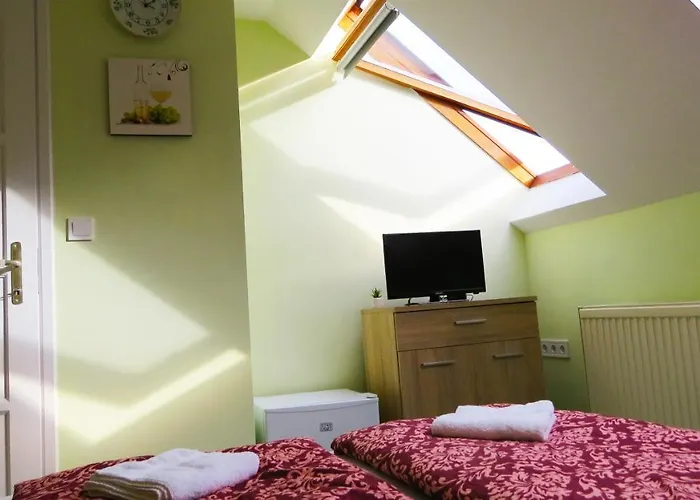 Hoforras Wellness Vendeghaz Gæstehus 3*