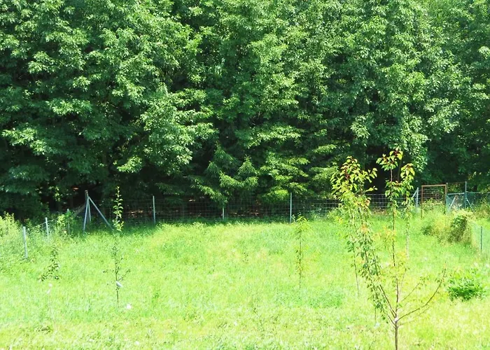 Hoforras Wellness Vendeghaz Gæstehus 3*