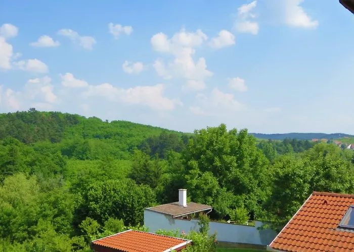 Hoforras Wellness Vendeghaz Gæstehus 3*